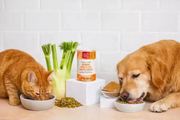 probiotics for dogs