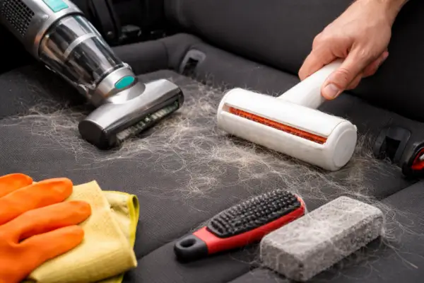 Best pet hair removers for car seats